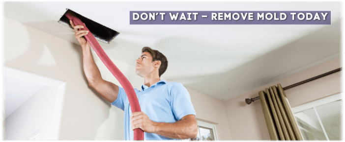Air Duct Mold Removal in San Gabriel